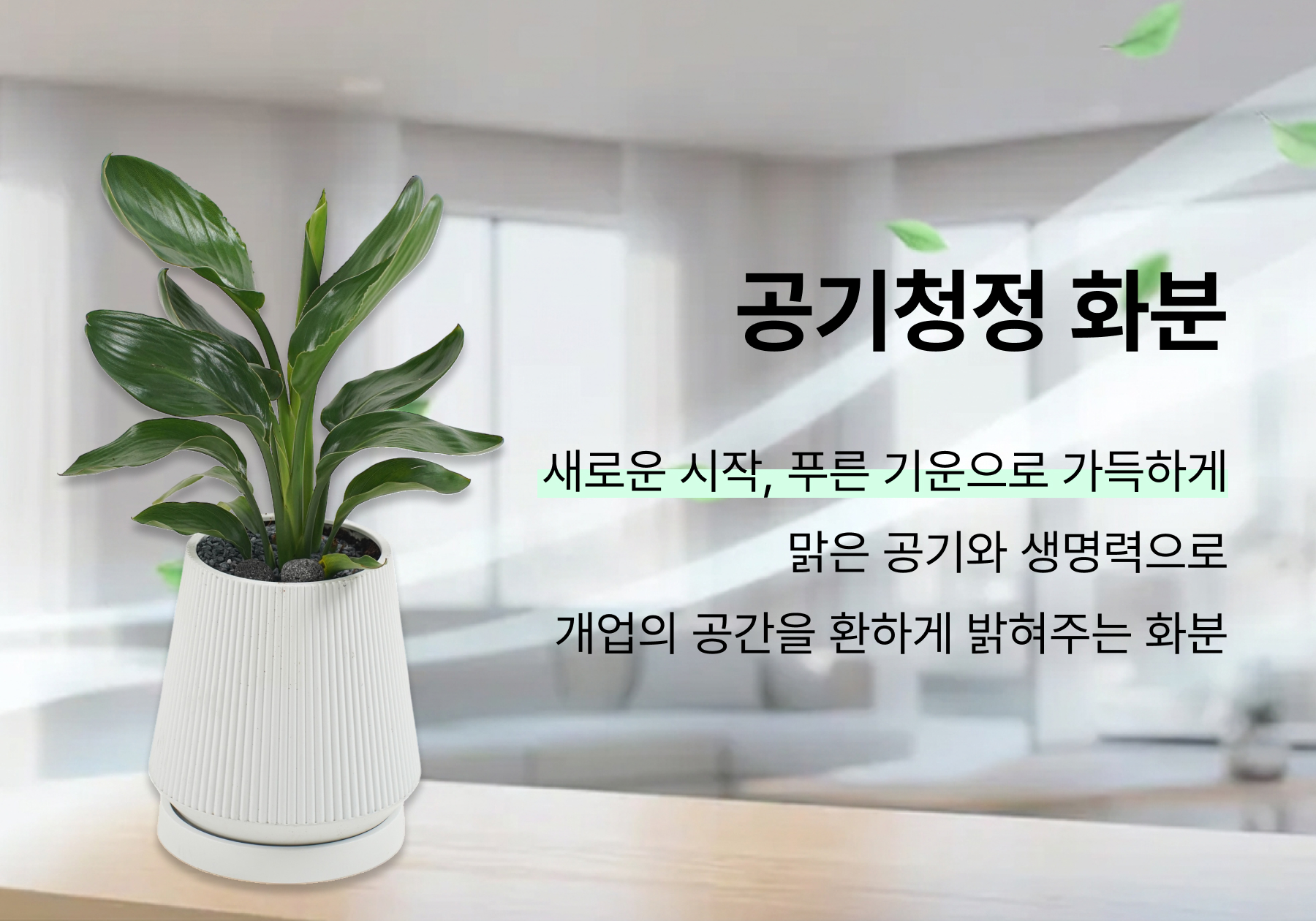 공기청정 화분