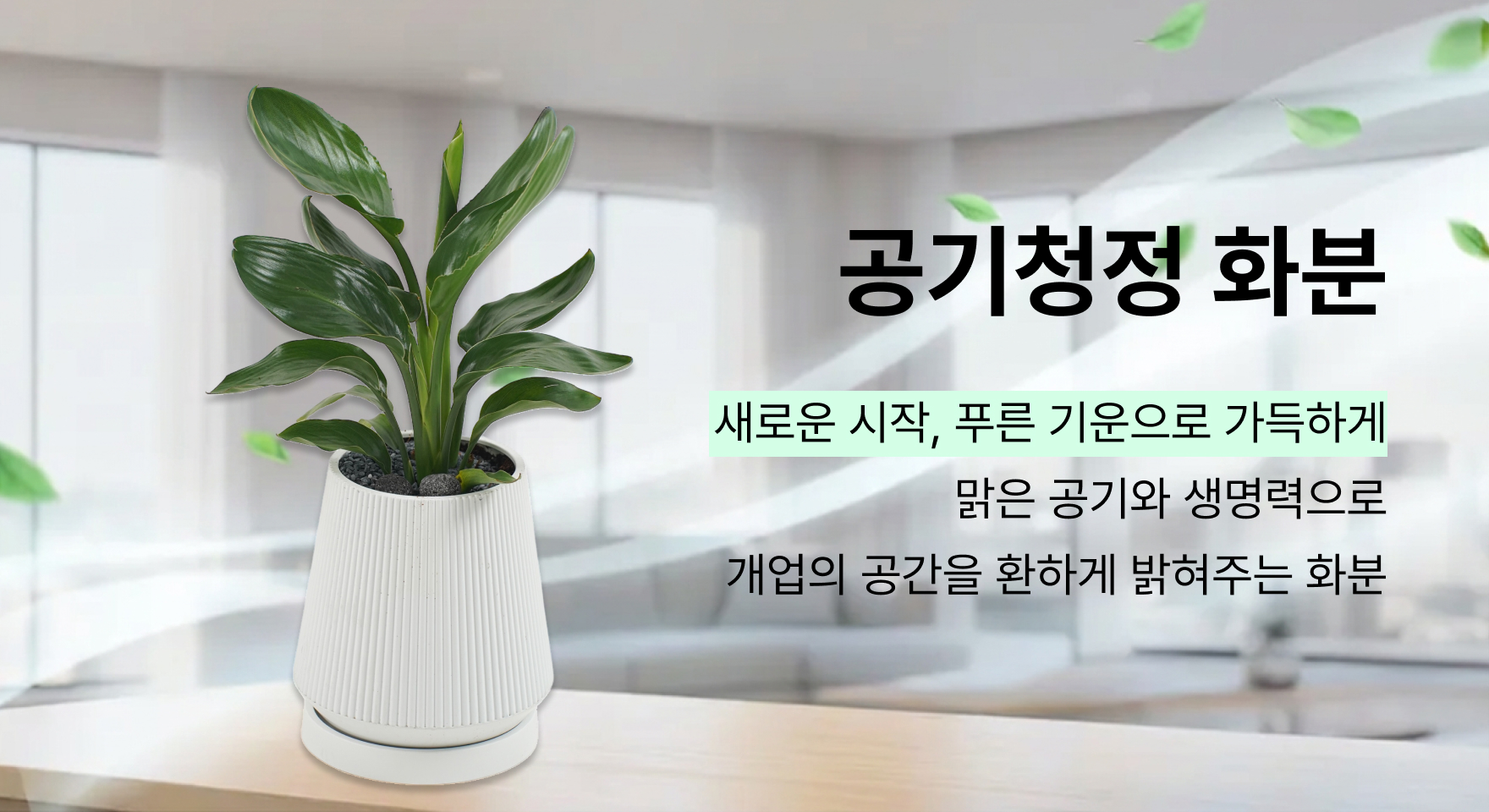 공기청정 화분