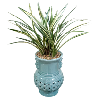 비취옥(투각분)