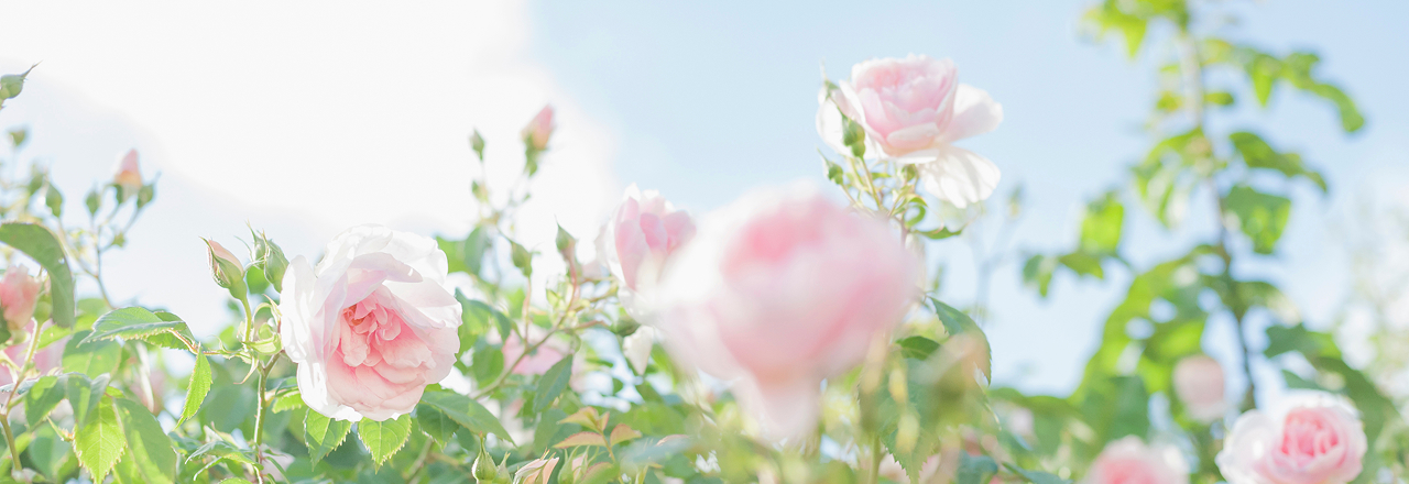 회사 소개 이미지